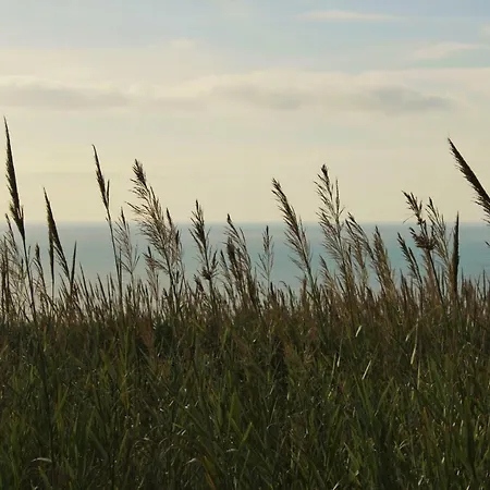 Laurel House Prázdninový dům Lourinhã