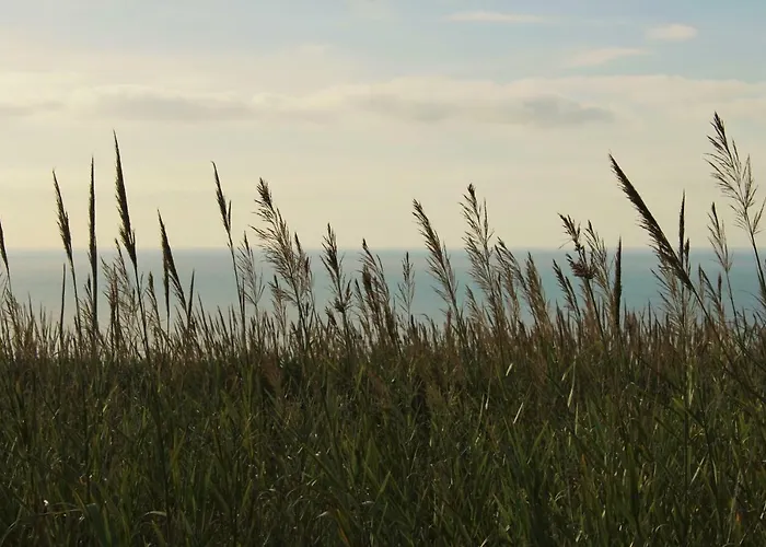 Laurel House Tatil Evi Lourinhã